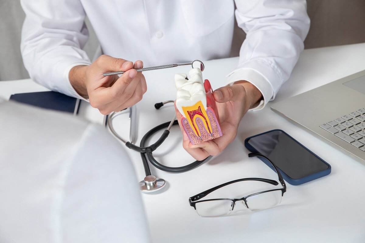 Frequently Asked Questions About Root Canal Therapy - Dentist Orleans / Gloucester - Orleans Gardens Dental Centre Frequently Asked Questions About Root Canal Therapy - Dentist Orleans / Gloucester - Orleans Gardens Dental Centre